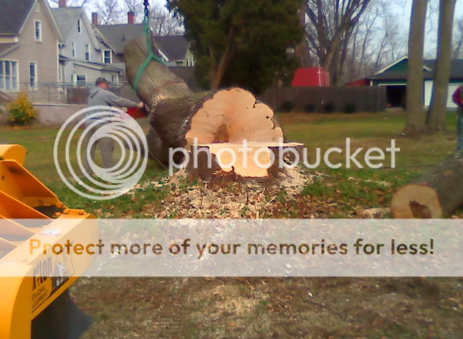 Partially ground stump from another angle