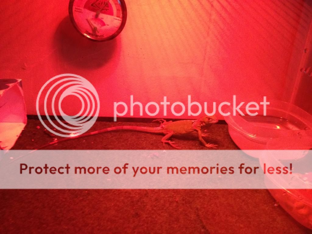 B996E07B-1EEB-4FB6-ADD8-C91BFD3CB4B4_zps