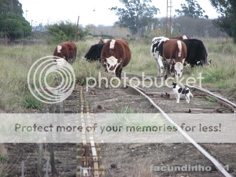 fotos por mi fotos por mi