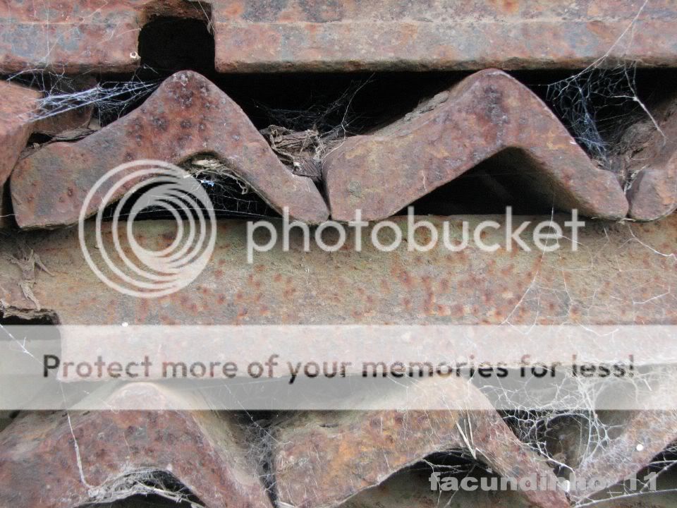 fotos por mi fotos por mi