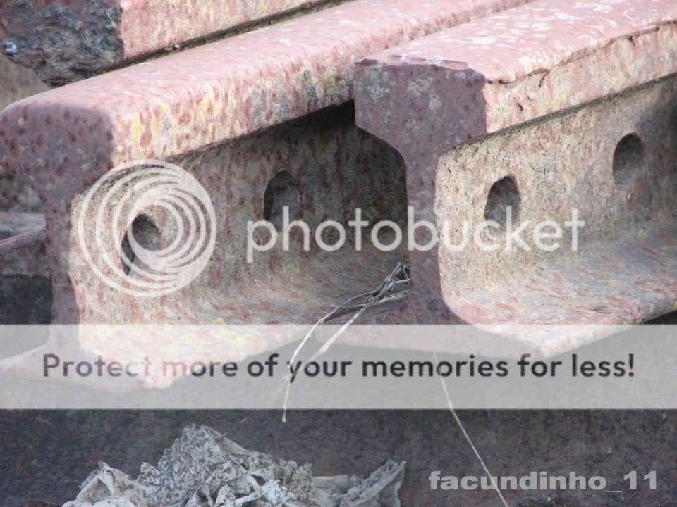 fotografias fotografias