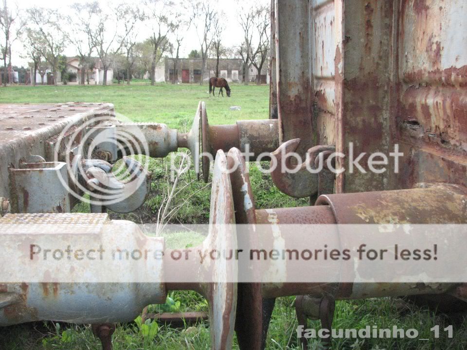 trenes trenes