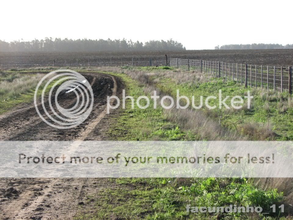fotografias fotografias