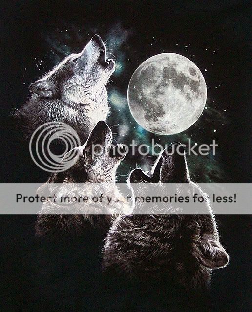 3wolfmoon_7785.jpg