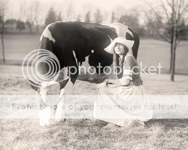 Milking-Girl-Cow.jpg