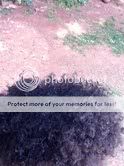 hair13.jpg