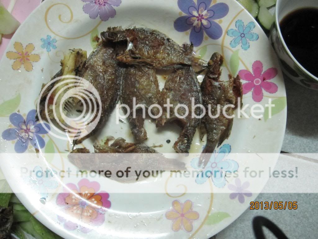 Manchester United fanclub