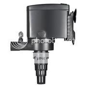 Bình thạnh Bán ốc táo đỏ và thanh lý tép chơi thủy sinh - 21