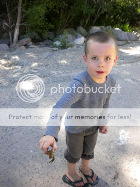 Photobucket